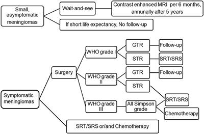 Corrigendum: An Overview of Managements in Meningiomas